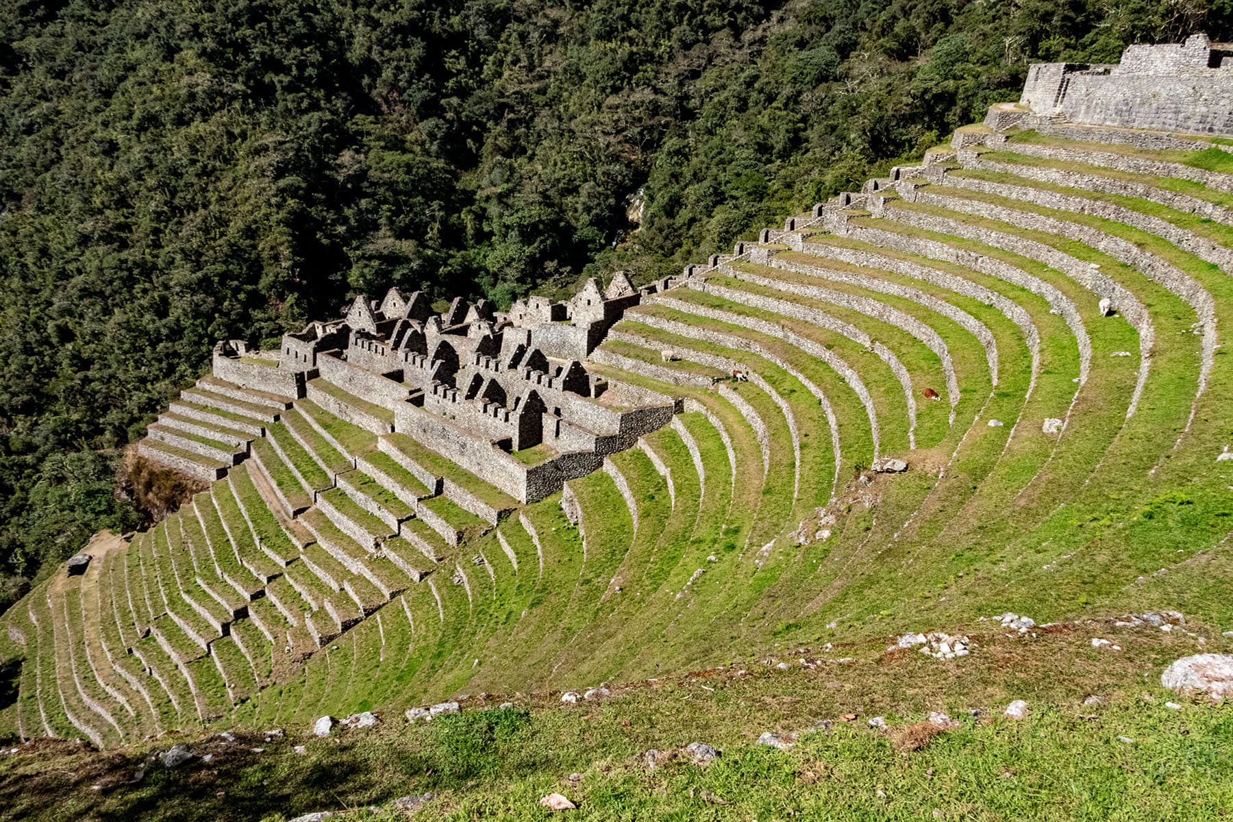 INKA-WEG